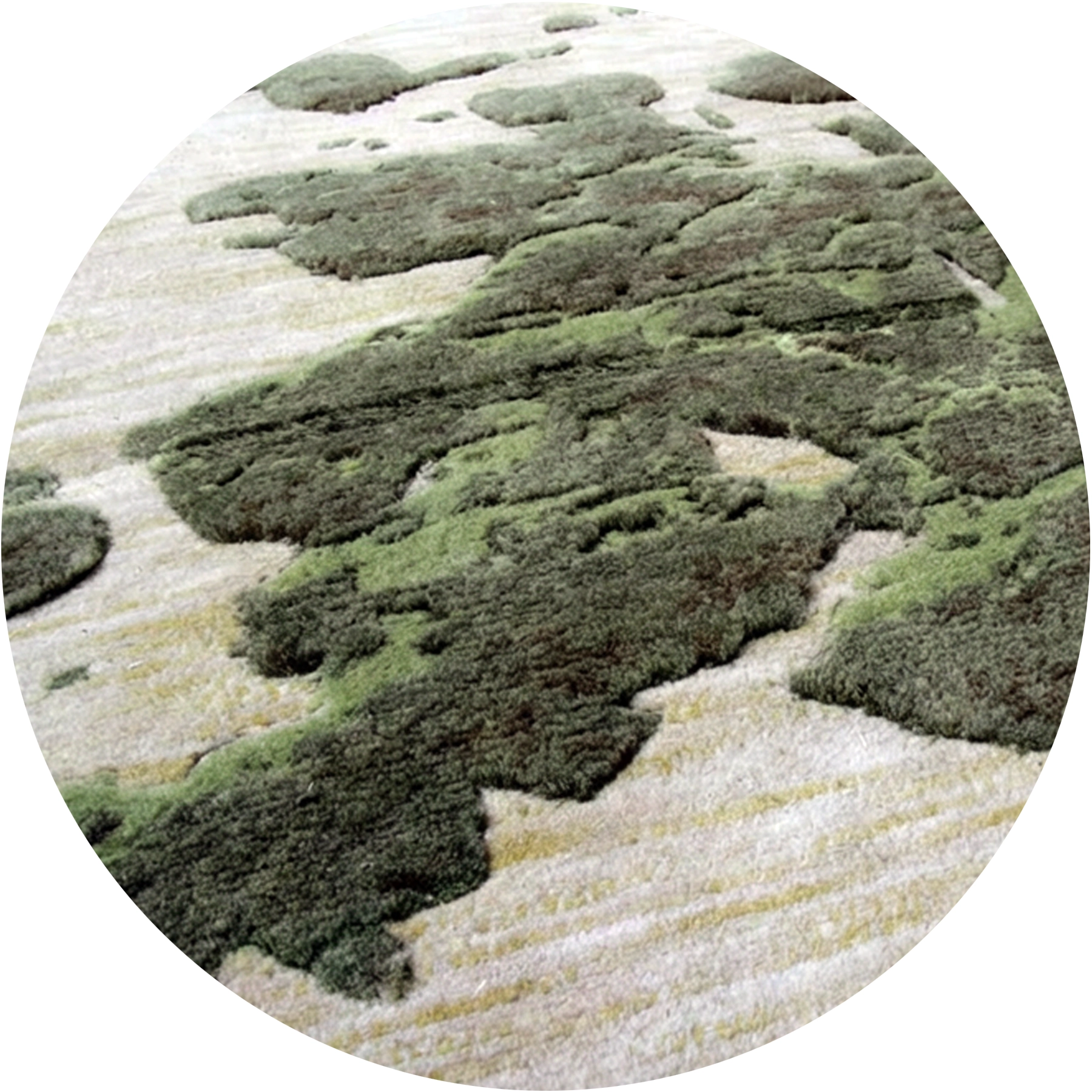 Alfombra tibetana de alta calidad diseñada por Ana Locking, colección Time Capsule.