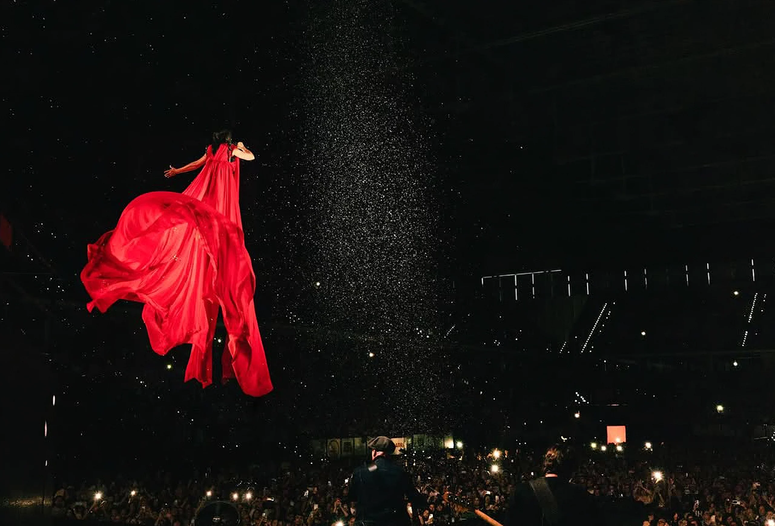 Vestido y capa de Ana Locking creado para la gira 