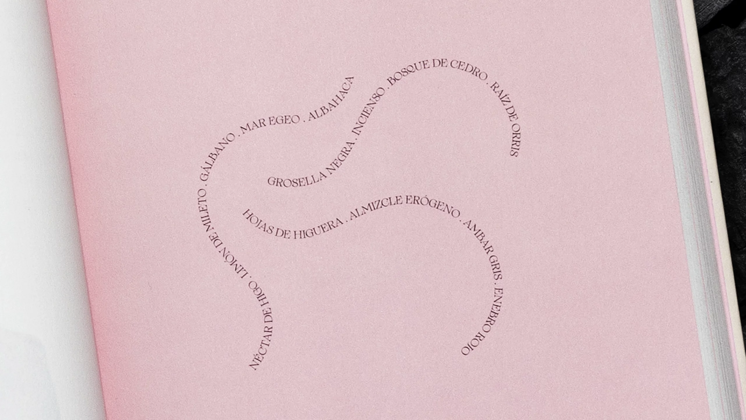 Interior del libro creado para el proyecto artístico del club de coleccionistas de arte contemporáneo 