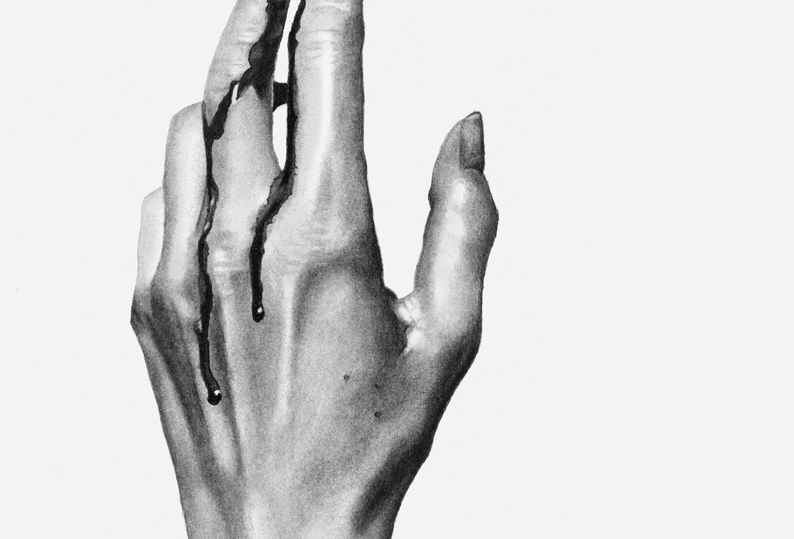 Ilustración a carboncillo creada por Ana Locking para el proyecto artístico del club de coleccionistas de arte contemporáneo 