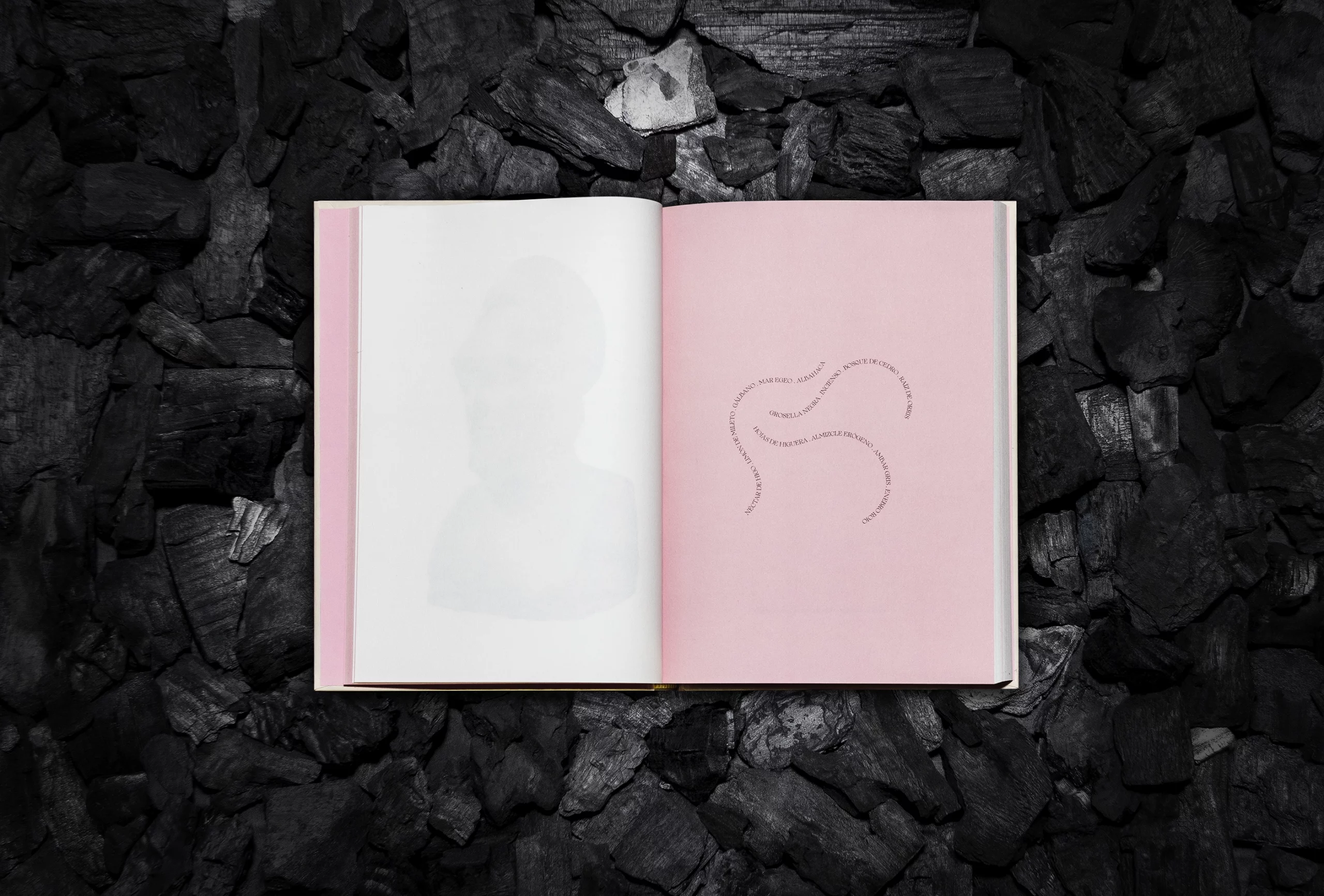 Interior del libro creado para el proyecto artístico del club de coleccionistas de arte contemporáneo 