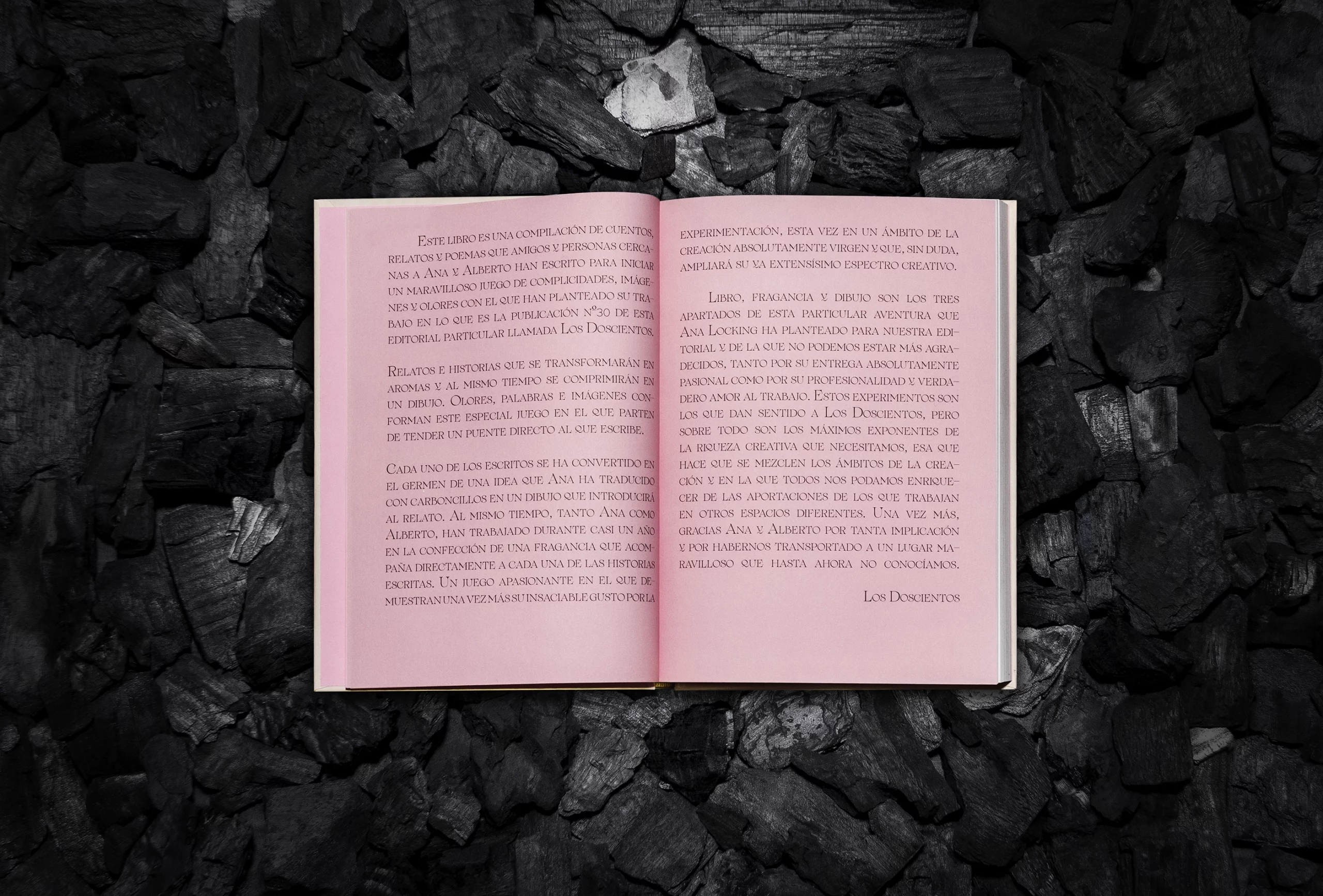 Interior del libro creado para el proyecto artístico del club de coleccionistas de arte contemporáneo 