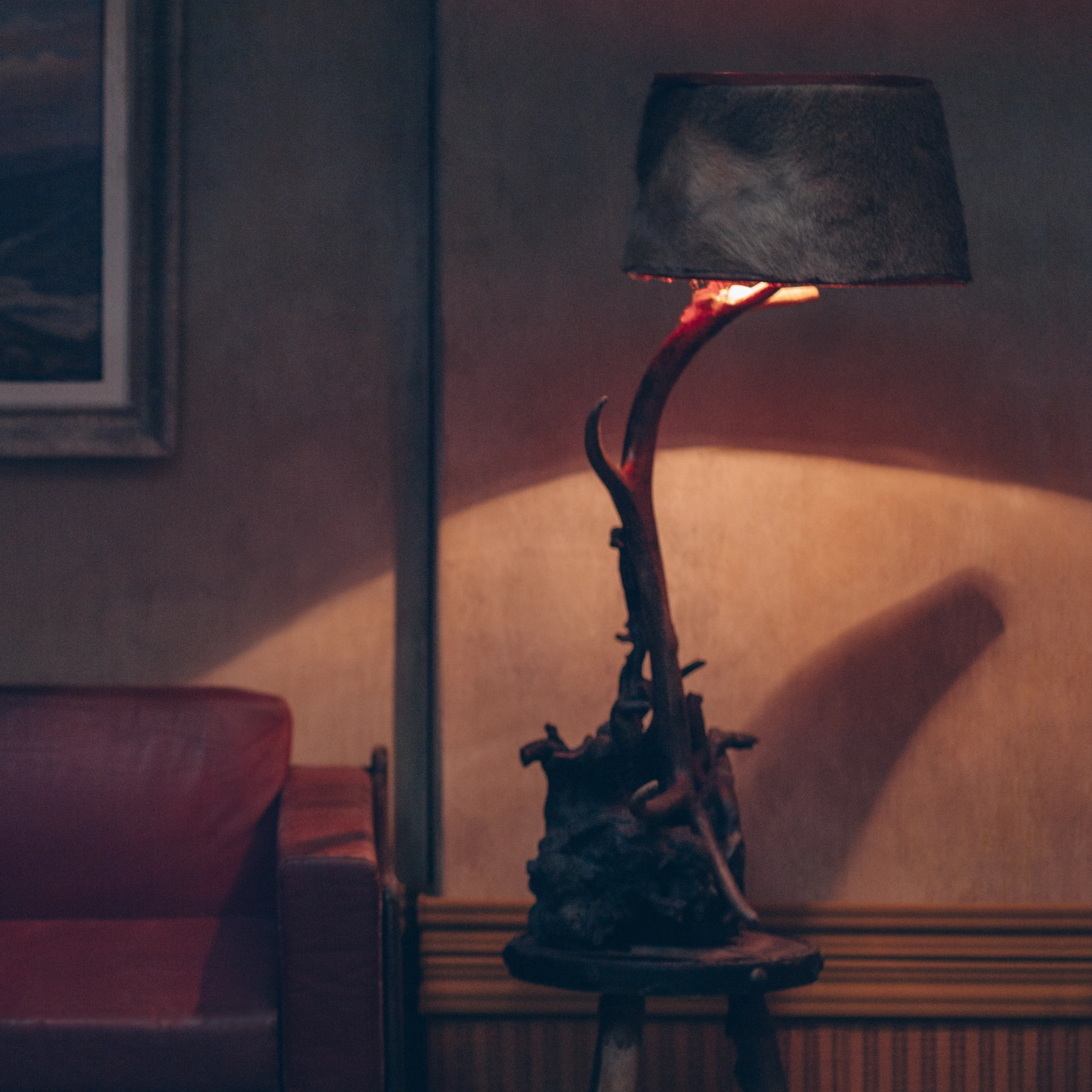 Detalle de la fotografía 