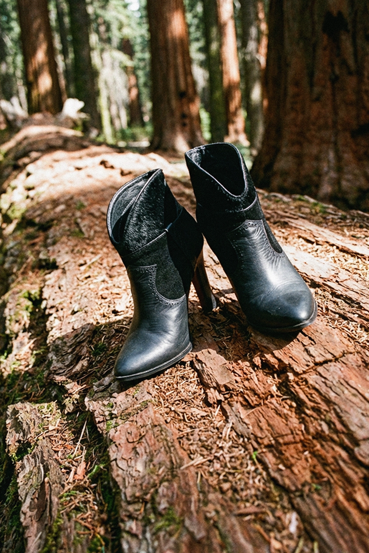 Publicidad de la colección de calzado de 