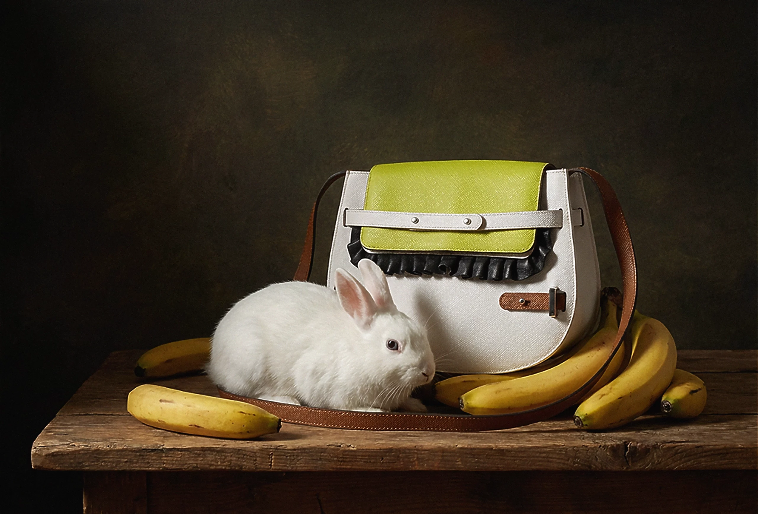 Publicidad de la colección de bolsos 