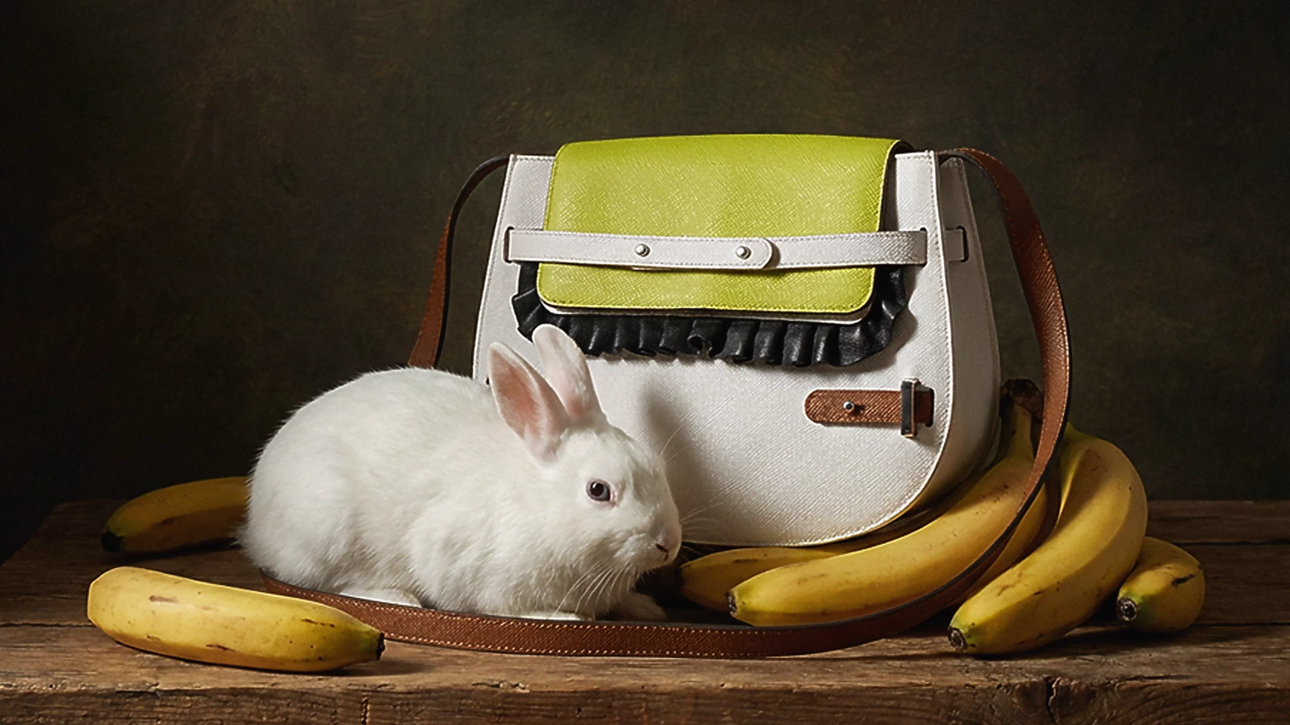 Bolso de la colección 