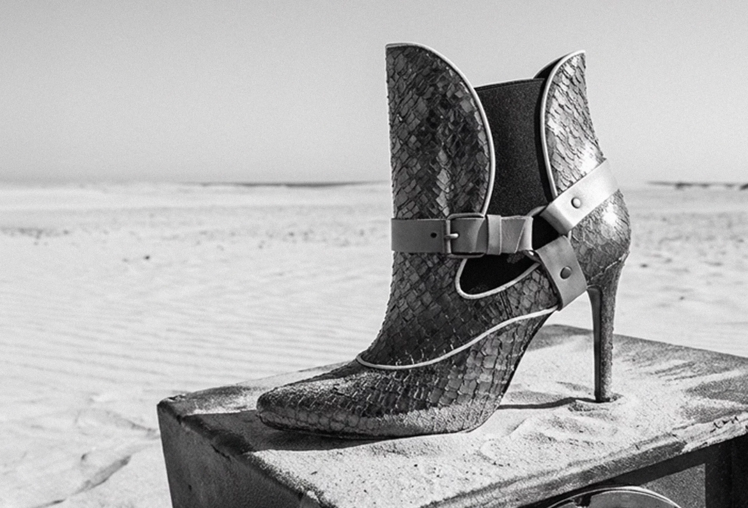 Publicidad de la colección de zapatos 