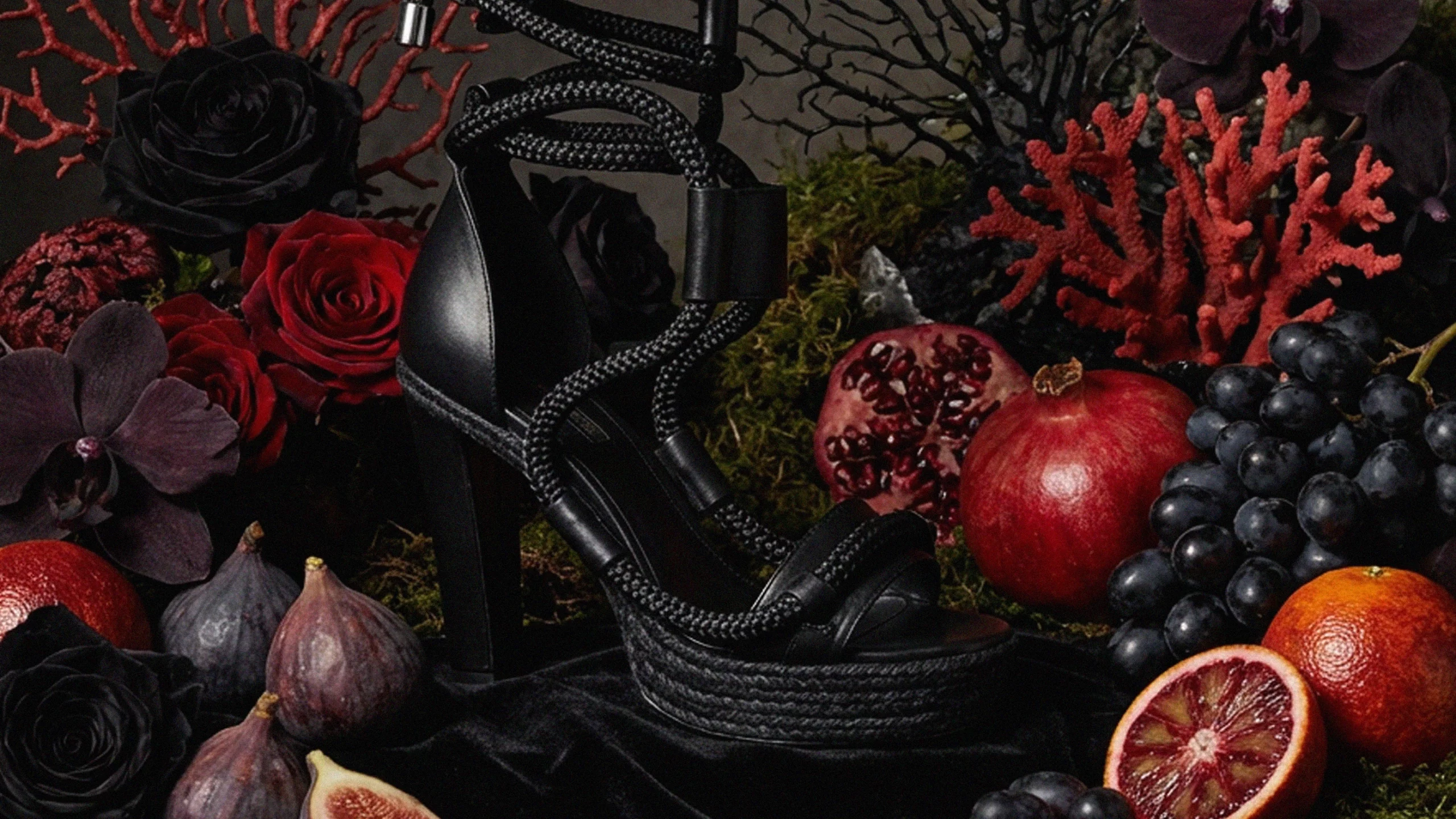 Publicidad de la colección de zapatos 