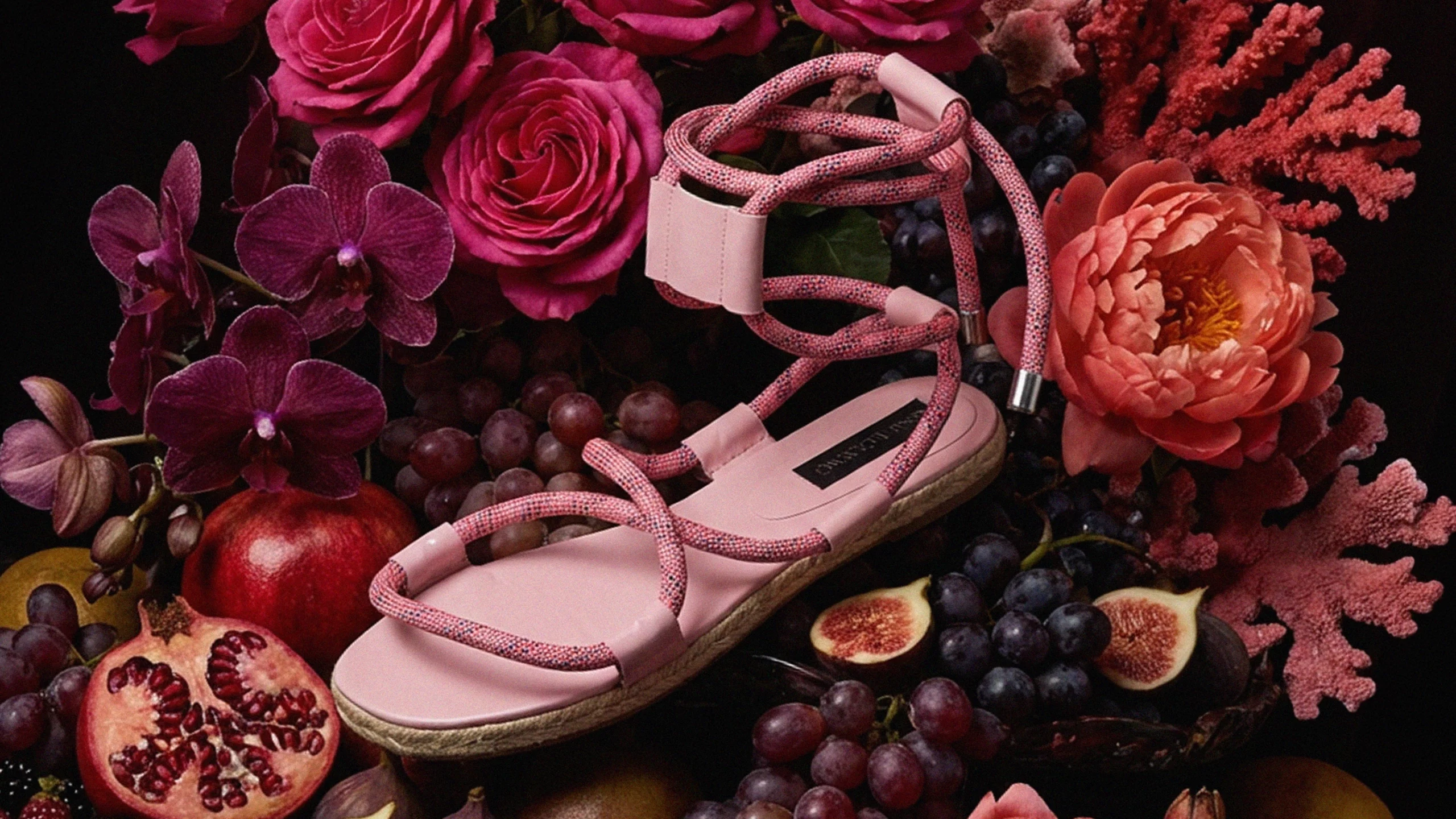 Publicidad de la colección de zapatos 