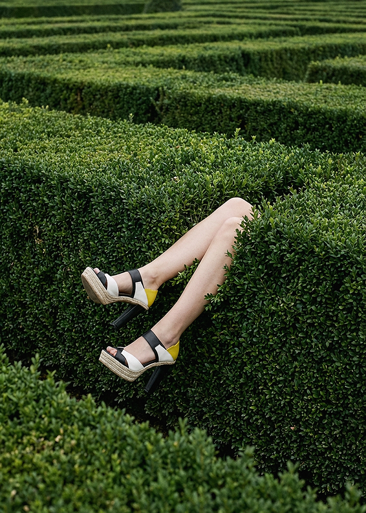 Publicidad de la colección de zapatos 