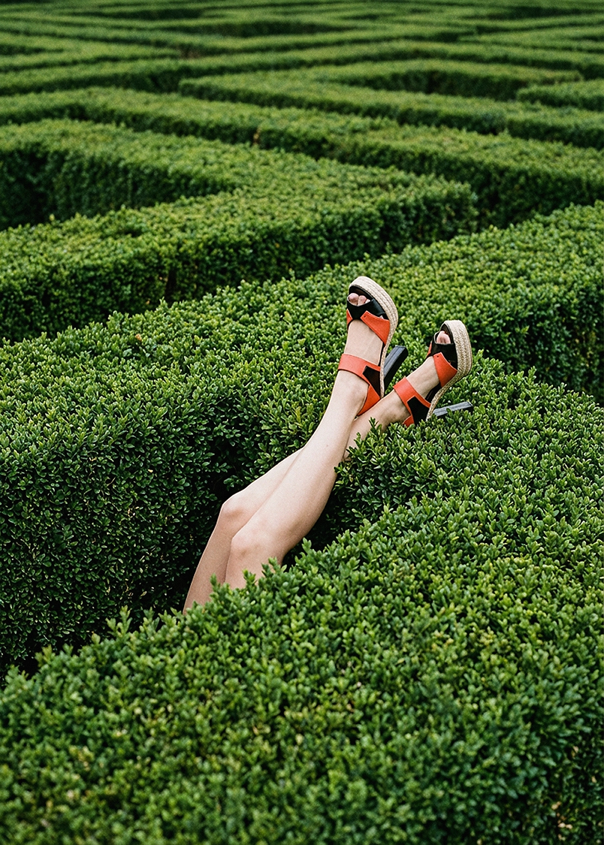 Publicidad de la colección de zapatos 