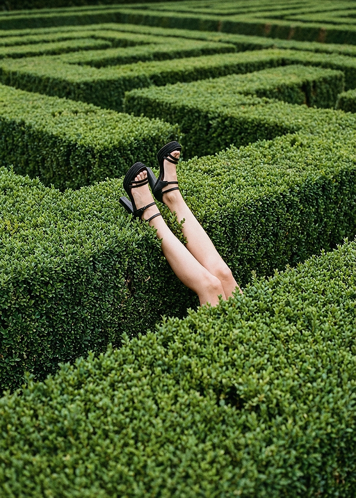 Publicidad de la colección de zapatos 