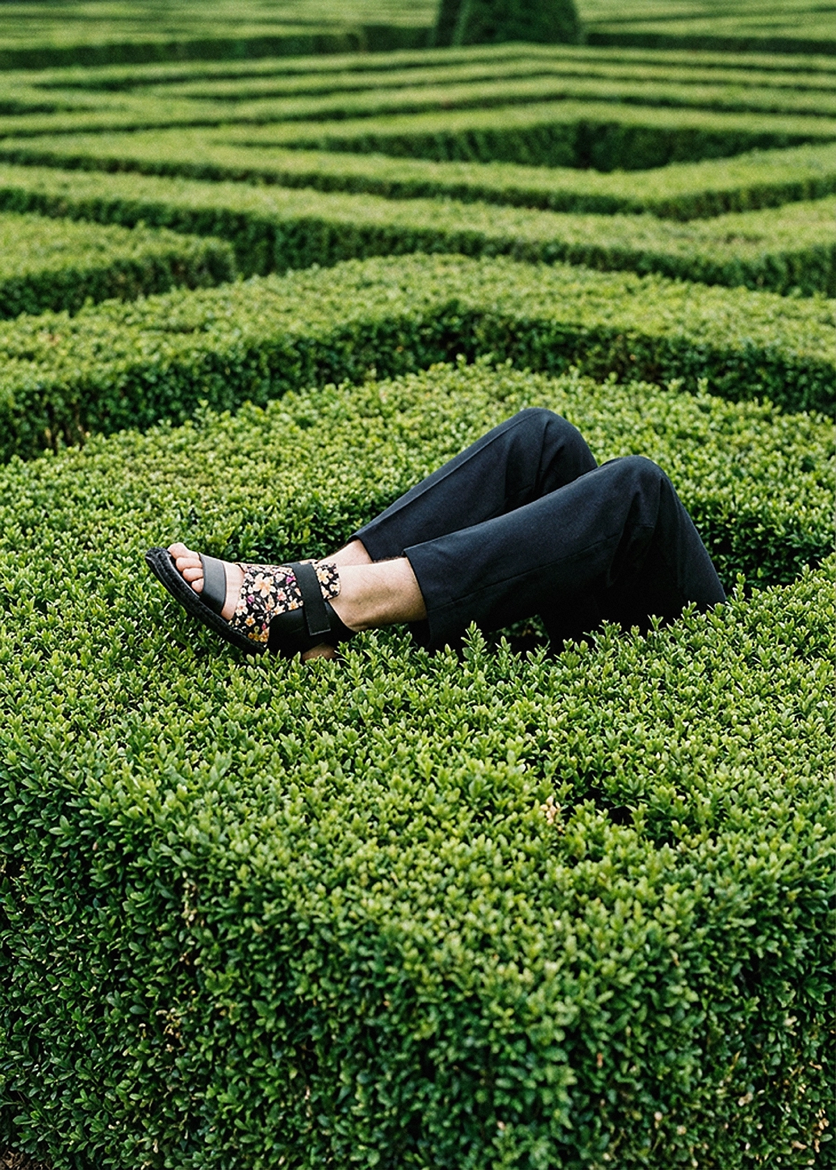 Publicidad de la colección de zapatos 